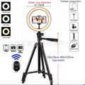 Cross-Border Hot Selling 10inch 12inch Ring Fill Light Photography Live Broadcast Floor Flash Ring Light Set Light